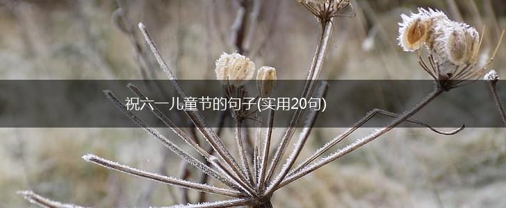 祝六一儿童节的句子(实用20句),第1张