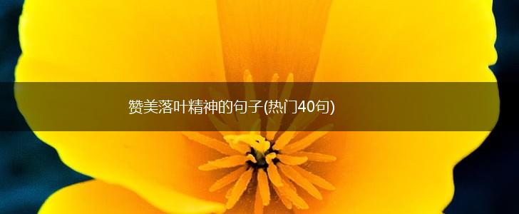 赞美落叶精神的句子(热门40句),第1张