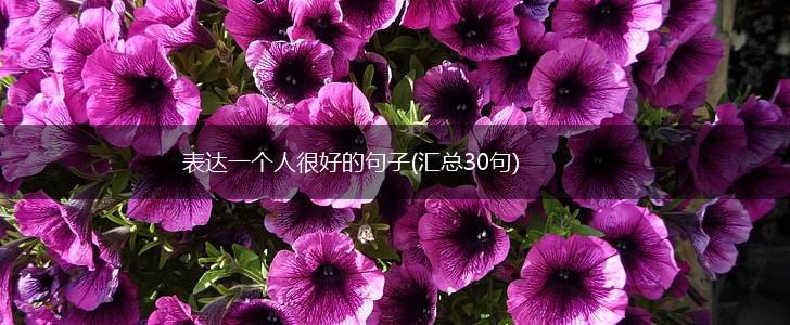 表达一个人很好的句子(汇总30句),第1张