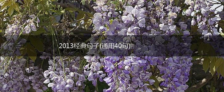 2013经典句子(通用40句),第1张