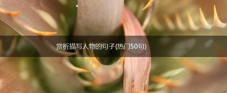 赏析描写人物的句子(热门50句),第1张