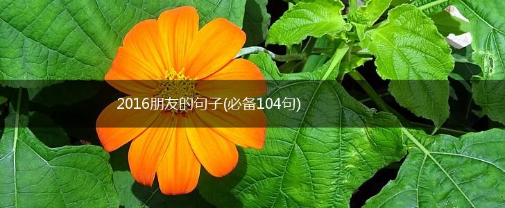 2016朋友的句子(必备104句),第1张