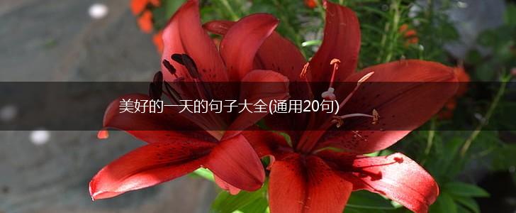 美好的一天的句子大全(通用20句),第1张
