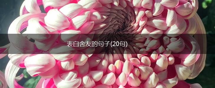 表白舍友的句子(20句),第1张