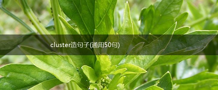 cluster造句子(通用50句),第1张