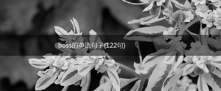 boss的英语句子(122句),第1张