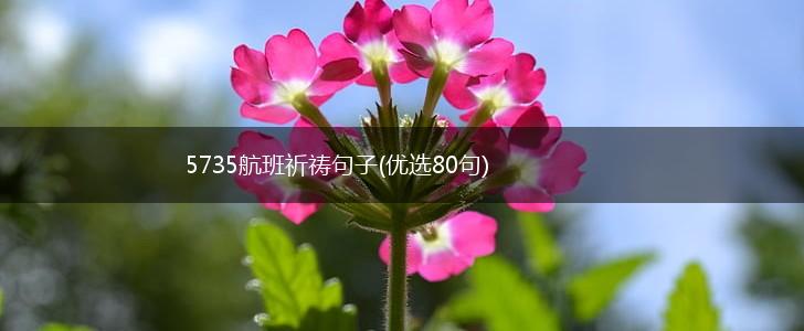 5735航班祈祷句子(优选80句),第1张