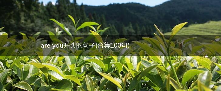 are you开头的句子(合集100句),第1张
