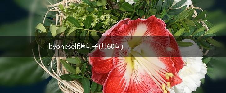 byoneself造句子(共60句),第1张