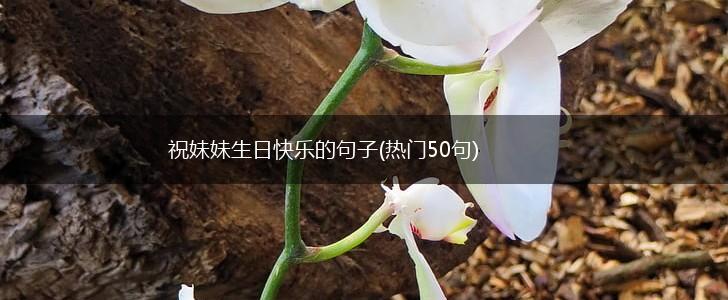 祝妹妹生日快乐的句子(热门50句),第1张