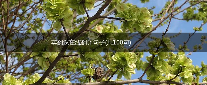 英翻汉在线翻译句子(共100句),第1张