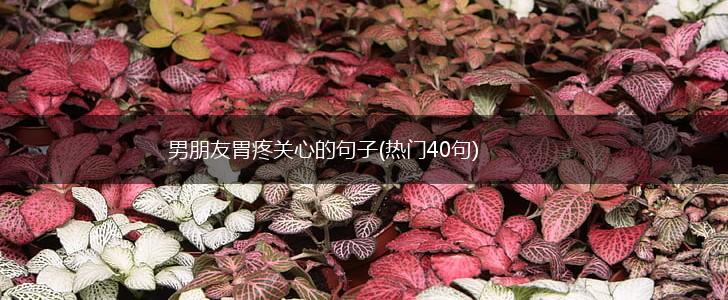 男朋友胃疼关心的句子(热门40句),第1张