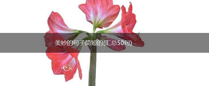 美妙的句子简短的(汇总50句),第1张