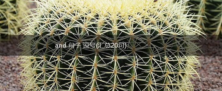 and 句子 逗号(汇总20句),第1张