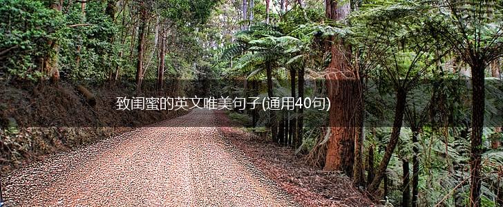 致闺蜜的英文唯美句子(通用40句),第1张