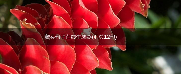 藏头句子在线生成器(汇总12句),第1张