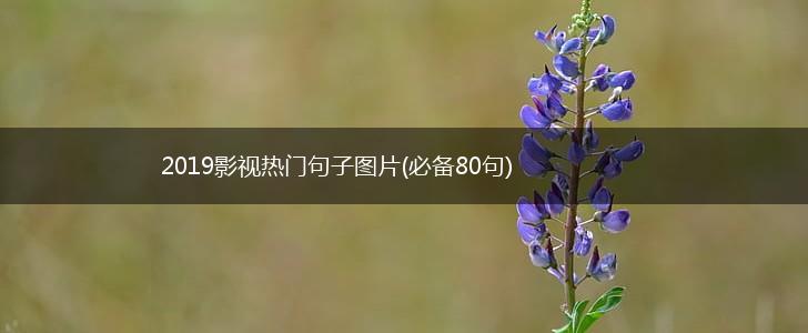 2019影视热门句子图片(必备80句),第1张