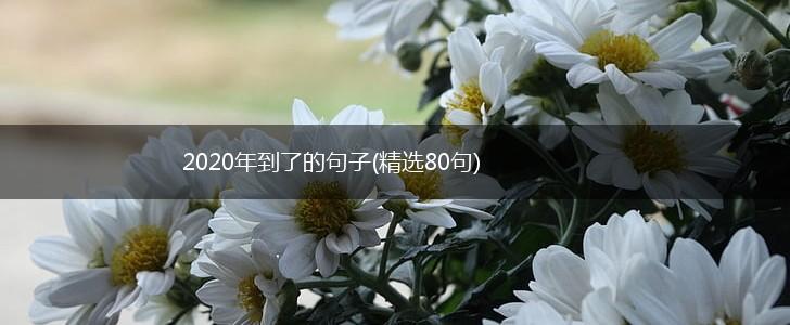 2020年到了的句子(精选80句),第1张