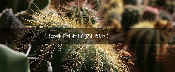 结伴同行的句子(热门50句),第1张