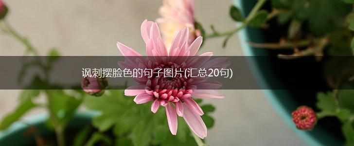 讽刺摆脸色的句子图片(汇总20句),第1张