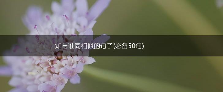 知与谁同相似的句子(必备50句),第1张