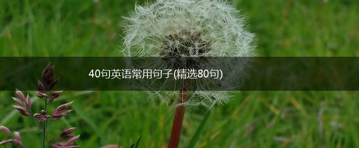 40句英语常用句子(精选80句),第1张