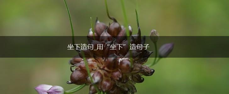 坐下造句_用“坐下”造句子,第1张