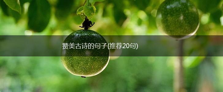 赞美古诗的句子(推荐20句),第1张