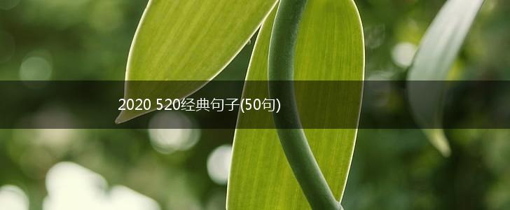 2020 520经典句子(50句),第1张