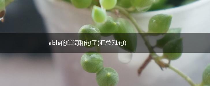 able的单词和句子(汇总71句),第1张