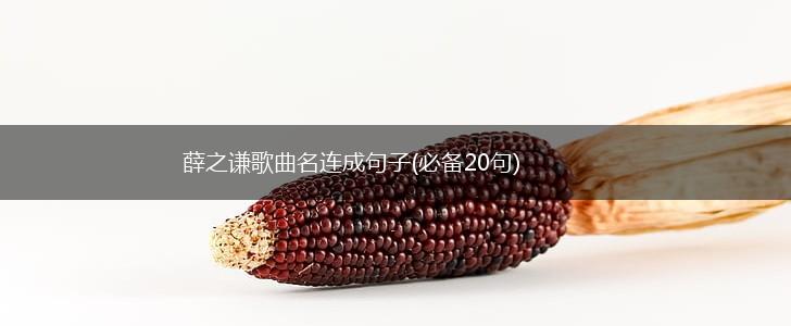 薛之谦歌曲名连成句子(必备20句),第1张