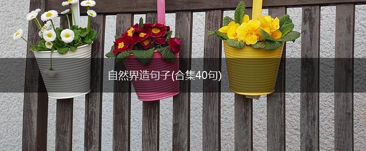 自然界造句子(合集40句),第1张