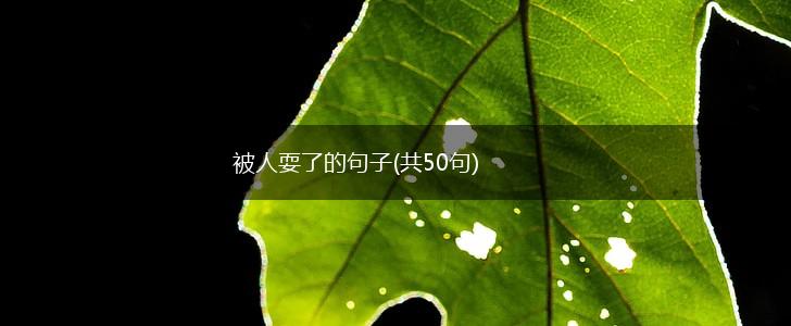 被人耍了的句子(共50句),第1张