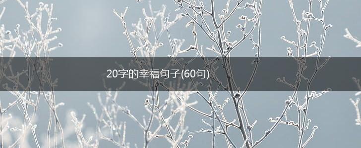 20字的幸福句子(60句),第1张