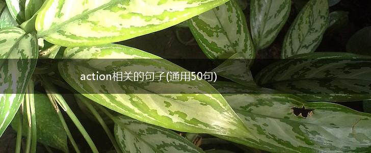 action相关的句子(通用50句),第1张