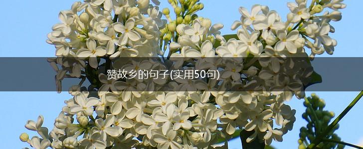 赞故乡的句子(实用50句),第1张