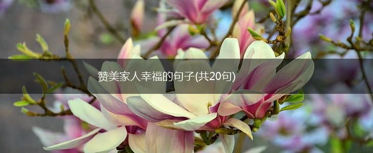 赞美家人幸福的句子(共20句),第1张