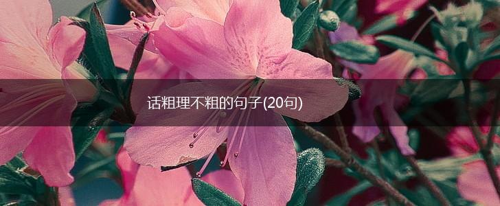 话粗理不粗的句子(20句),第1张