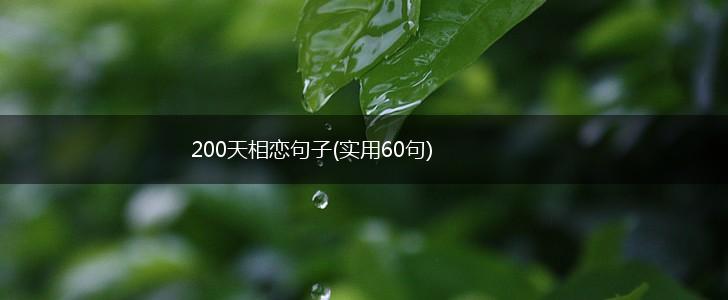 200天相恋句子(实用60句),第1张