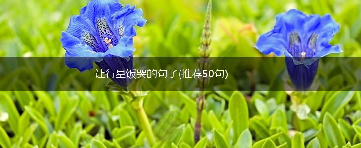 让行星饭哭的句子(推荐50句),第1张