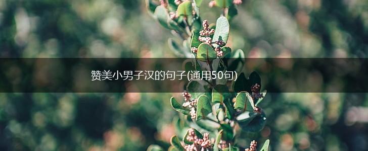 赞美小男子汉的句子(通用50句),第1张