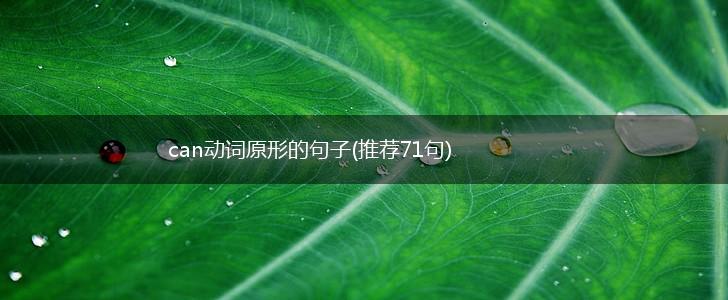 can动词原形的句子(推荐71句),第1张