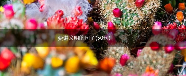 要讲文明的句子(50句),第1张