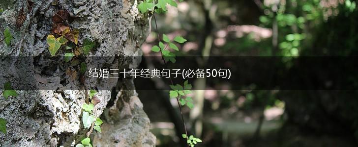 结婚三十年经典句子(必备50句),第1张