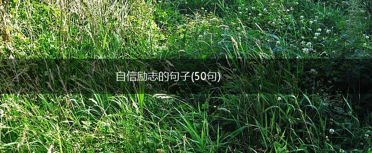 自信励志的句子(50句),第1张
