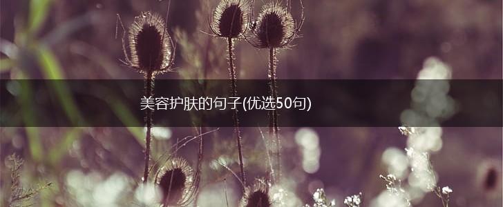 美容护肤的句子(优选50句),第1张