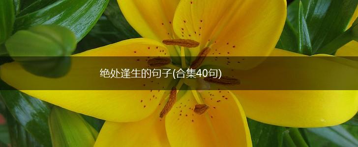 绝处逢生的句子(合集40句),第1张