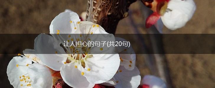让人担心的句子(共20句),第1张