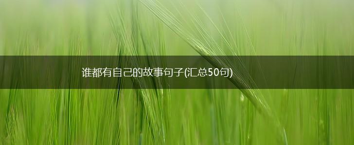 谁都有自己的故事句子(汇总50句),第1张