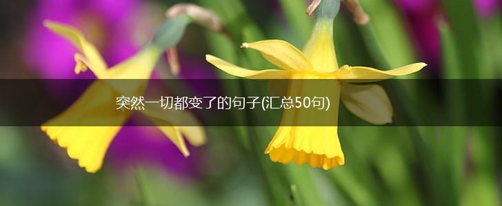 突然一切都变了的句子(汇总50句),第1张